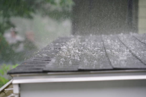 Best Asphalt Shingles Roofing  in Mcmillin, WA